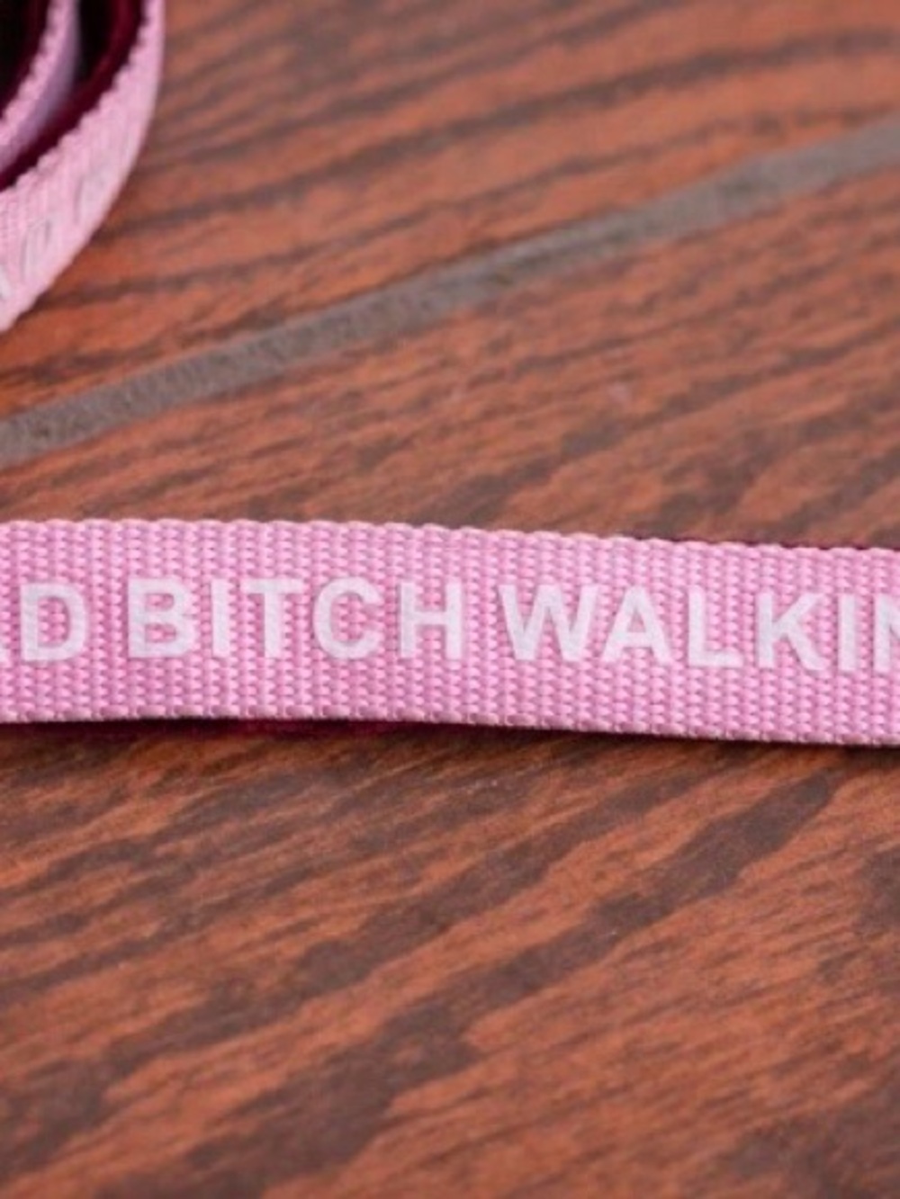 Pink Woven Leash & Collar set with White Text